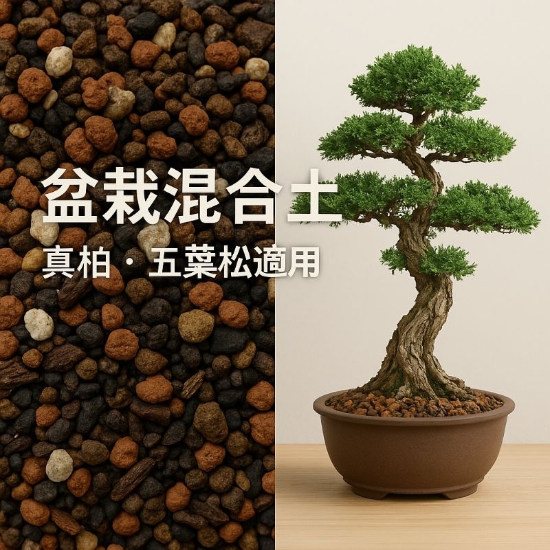 松柏專用配方土1.5L，五葉松配方土，真柏配方土，觀葉植物配方土，真柏介質，五葉松介質，高排水盆栽土，盆景配方土 | 蝦皮購物