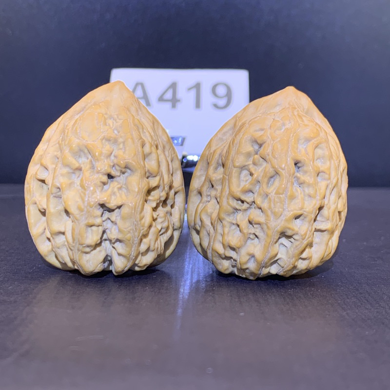 文玩堂：平谷火苗胡桃（高级品） 文玩核桃平谷火苗34/41/40無修#419 | 蝦皮購物