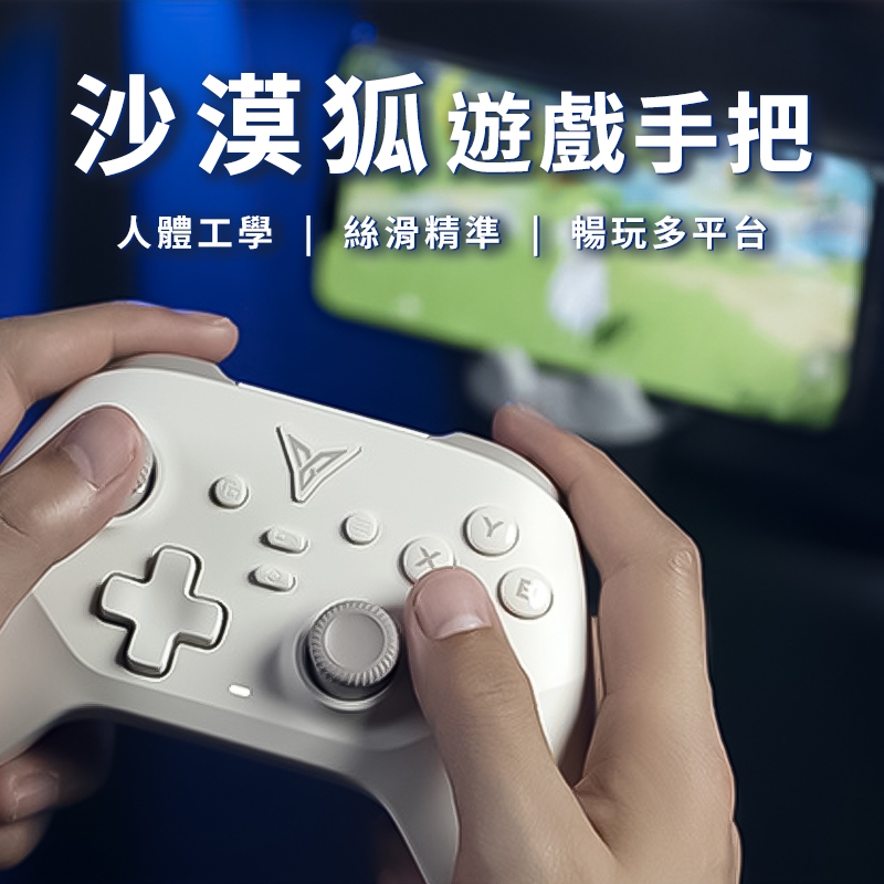 FLYDIGI 飛智 沙漠狐 遊戲手把 人體工學設計 無線手把 PC手把 搖桿 控制器 無限控制器 電競手把 電腦手把 | 蝦皮購物
