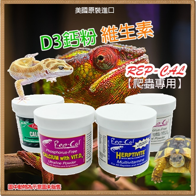 寵物都更所 美國 Repcal 爬蟲營養品 陸龜 守宮 鬆獅蜥蜴 D3鈣粉 維生素 維他命 烏龜水龜陸龜守宮蜥蜴角蛙 | 蝦皮購物
