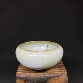 江有庭- 優惠推薦- 2025年8月| 蝦皮購物台灣
