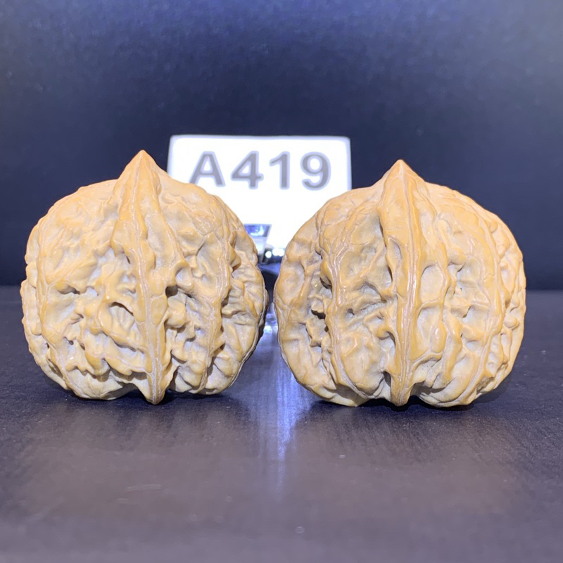 文玩堂：平谷火苗胡桃（高级品） 文玩核桃平谷火苗34/41/40無修#419 | 蝦皮購物