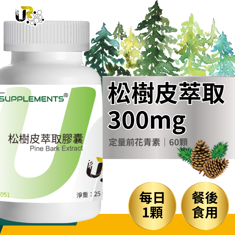 松樹皮萃取膠囊 Pine Bark Extract 定量前花青素 全素60顆 UrSupplements @能量補給站@ | 蝦皮購物