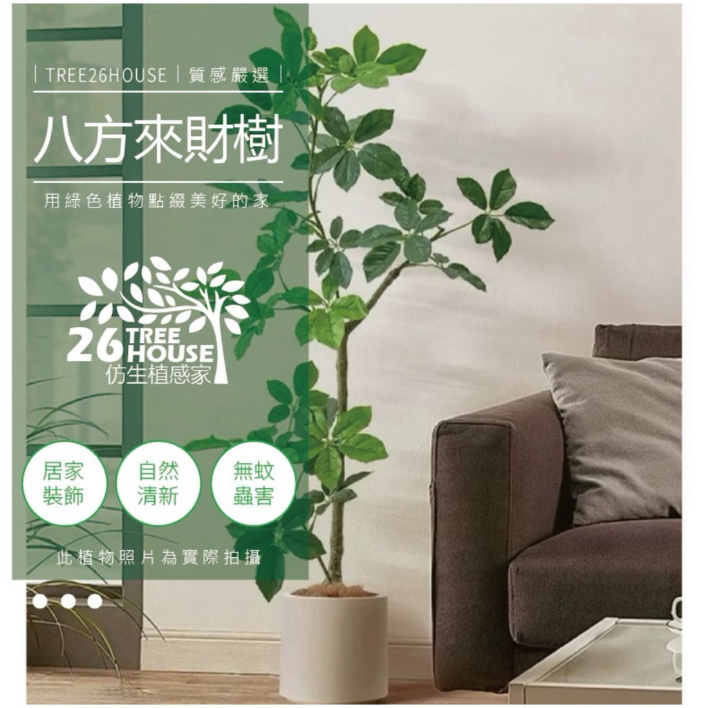 😇宅配免運費😇風水小物 八方來財鴨腳木 仿真花 風鈴葉植物 仿真綠植 發財樹 假植物 風水植物 招財植物 招財進寶 | 蝦皮購物
