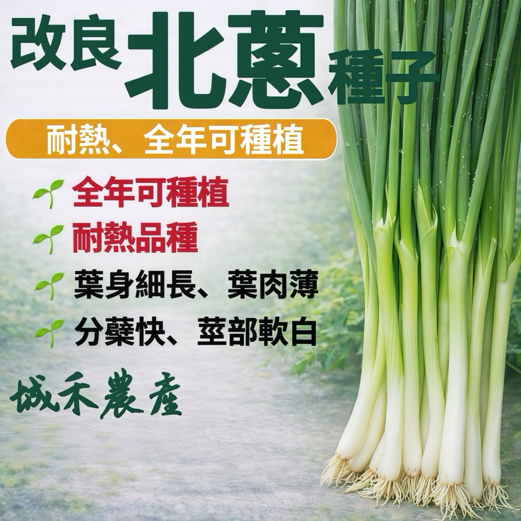 城禾農產🍃 改良北蔥種子 16克約4600粒 北蔥種子 蔥種子 改良北蔥種子 蔥的種子 蔥籽 北蔥籽 北蔥種籽 北蔥種子 | 蝦皮購物