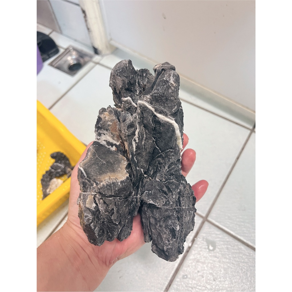 特級酸洗白紋青龍石1kg【新莊/五股/青島水族】店長嚴選青龍石紋理清晰