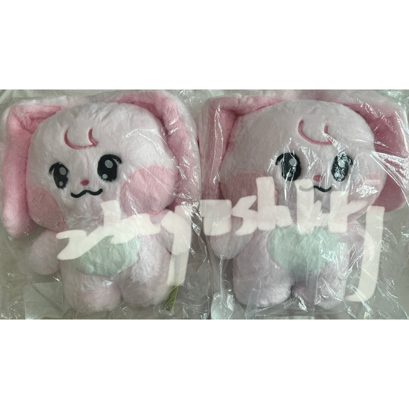 Friends 【新品】Line bamjji kkyuping jjopoo アイドル