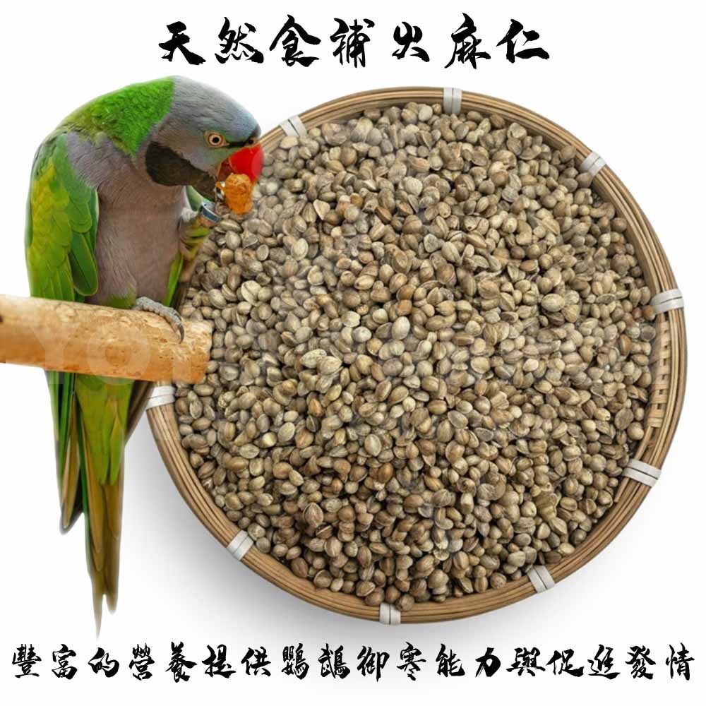 【鸚舞樂悠悠】火麻仁 天然食補 鸚鵡飼料 鸚鵡零食 鸚鵡繁殖聖品 食品級真空夾鏈立袋 小太陽鸚鵡 和尚鸚鵡 金頭凱克 | 蝦皮購物