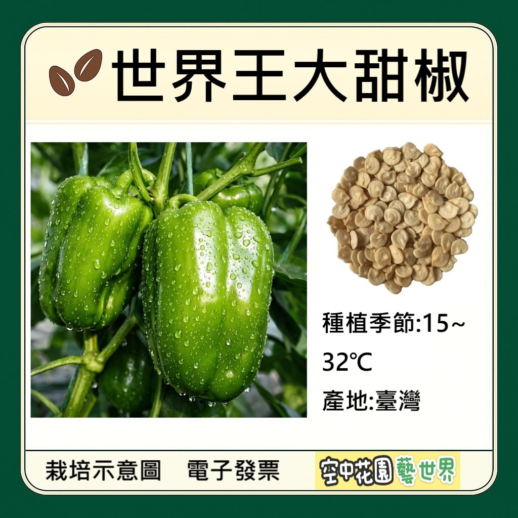 【台灣出貨 電子發票】世界王大甜椒 種子 菜籽 青椒 甜椒 果重平均200公克 空中花園藝世界 | 蝦皮購物