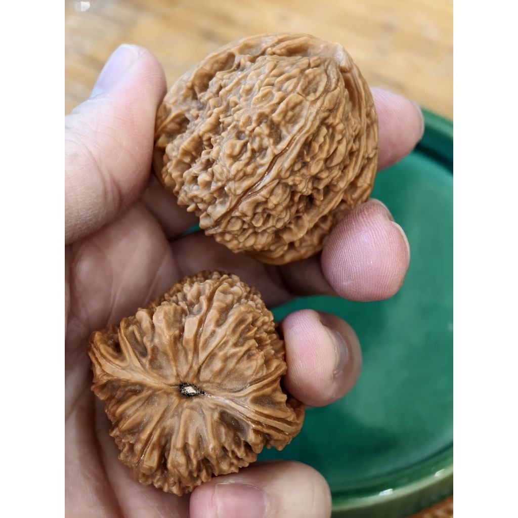 南疆- 優惠推薦- 2026年7月| 蝦皮購物台灣