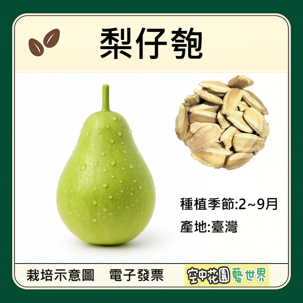 【台灣出貨 電子發票】梨仔匏 種子 瓠瓜 匏瓜 菜籽 空中花園藝世界 | 蝦皮購物