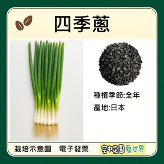 韭菜- 優惠推薦- 2026年1月| 蝦皮購物台灣