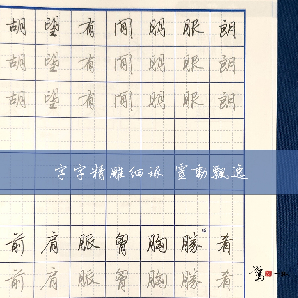 飛迅硬筆行楷 商品照片 8