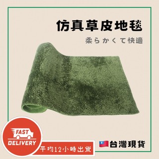 ️蝦皮最便宜 透氣仿真草皮地毯 爬蟲毯 爬蟲墊材 爬蟲墊 陸龜墊材 底材 假草皮 造景草皮 陸龜毯 陸龜墊 守宮墊材 | 蝦皮購物