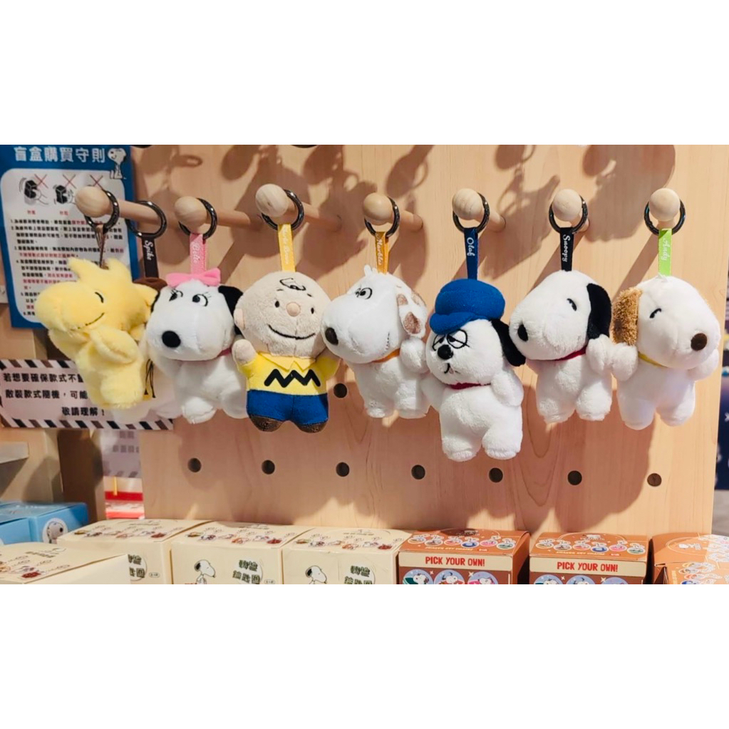 SNOOPY 家族系列大頭盲盒｜超好摸毛絨絨感｜吊飾鑰匙圈｜史努比 歐拉夫 | 蝦皮購物