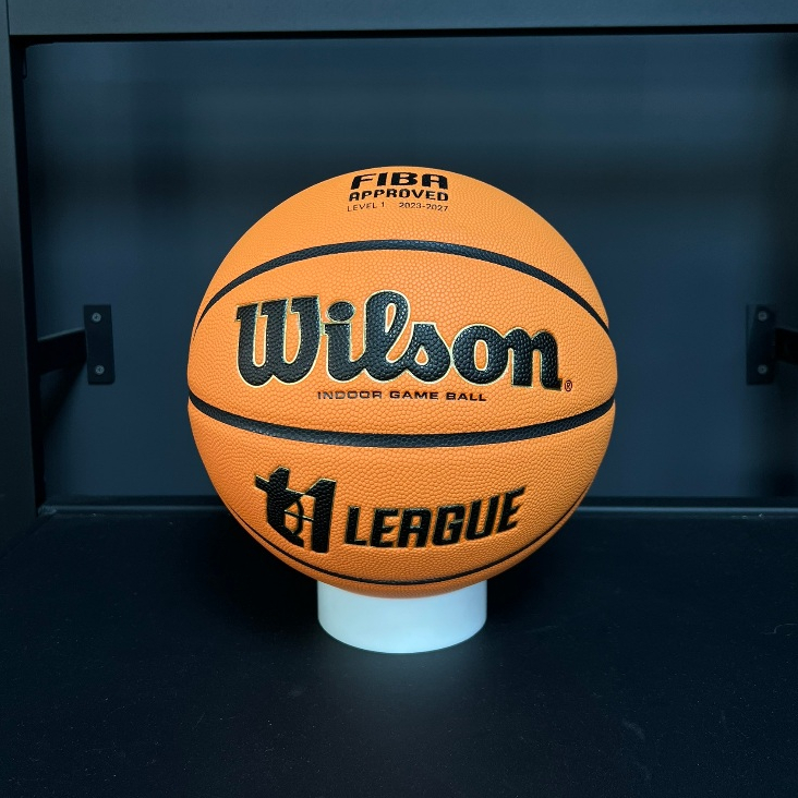 Wilson FIBA EVO NXT 籃球合成皮7號WZ0808XB | 蝦皮購物