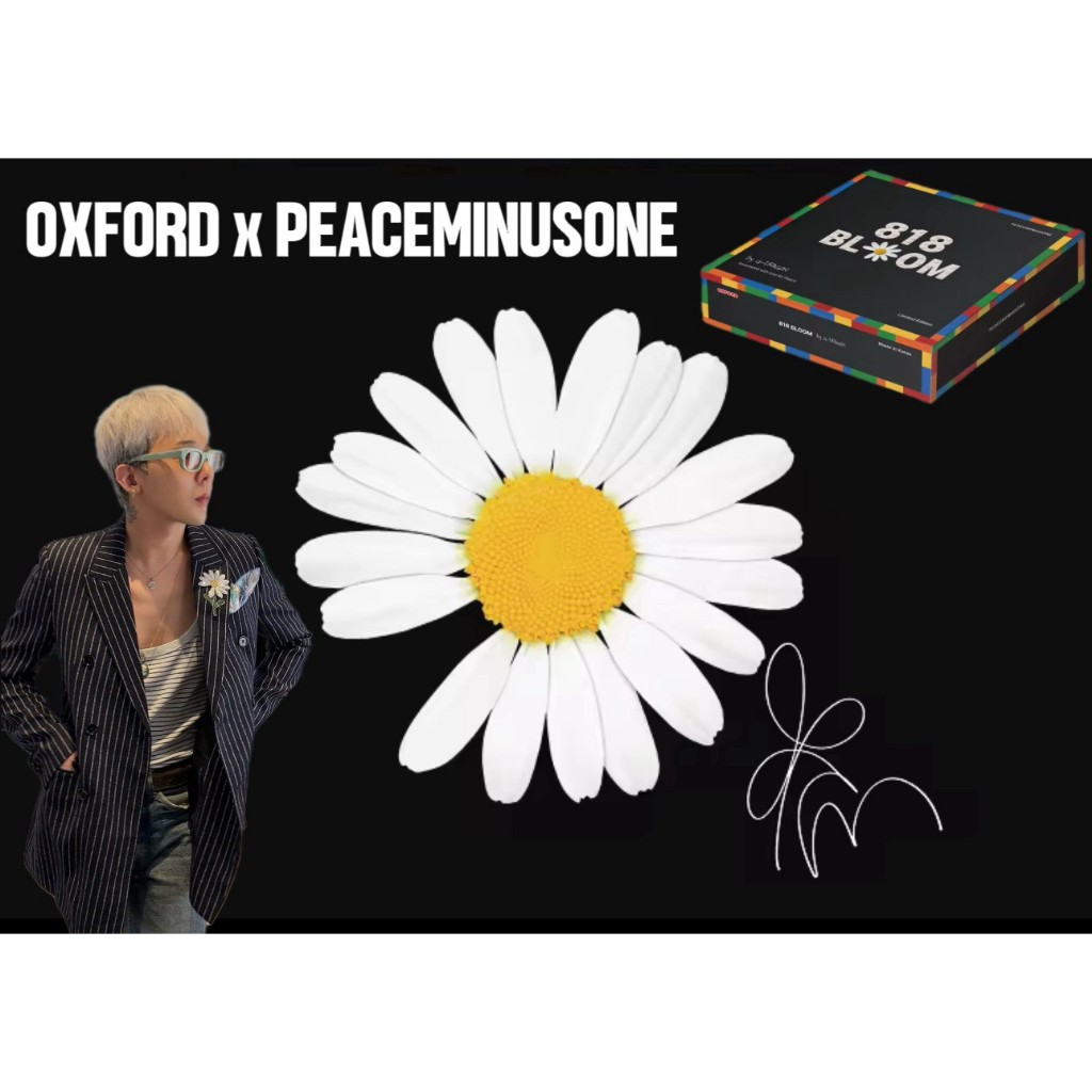 歐鉉]現貨權志龍GD G-DRAGON × OXFORD BLOCK 818 BLOOM 聯名限量積木