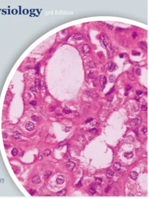 最新彩色圖解病理生理學手冊(Color Atlas of Pathophysiology 3e) | 蝦皮購物