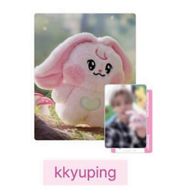 現貨』只剩志晟❗️nct linefriends dreamiez娃娃jjed kkyuping bamjji