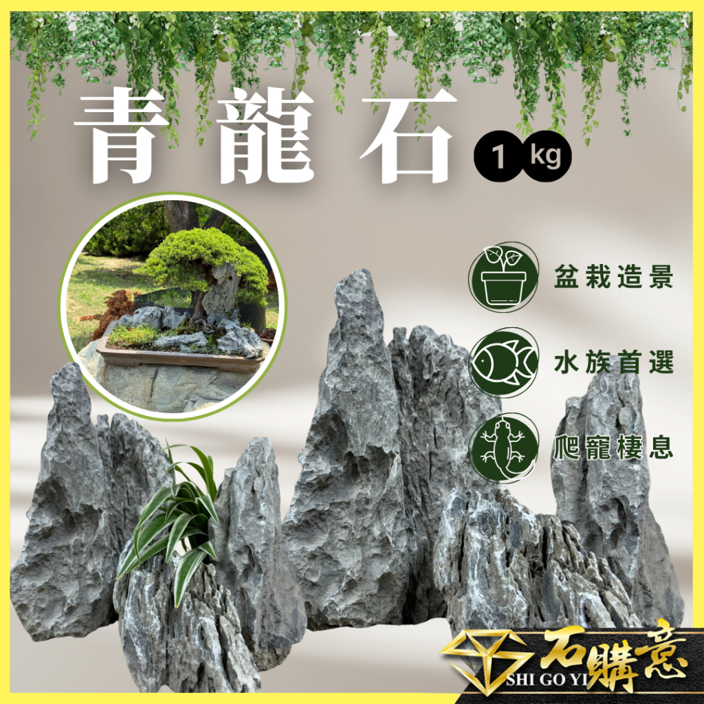 🔸青龍石🔸1kg單位💎石購意✨水族首選✨ 石頭石自然石天然洞石魚缸造景