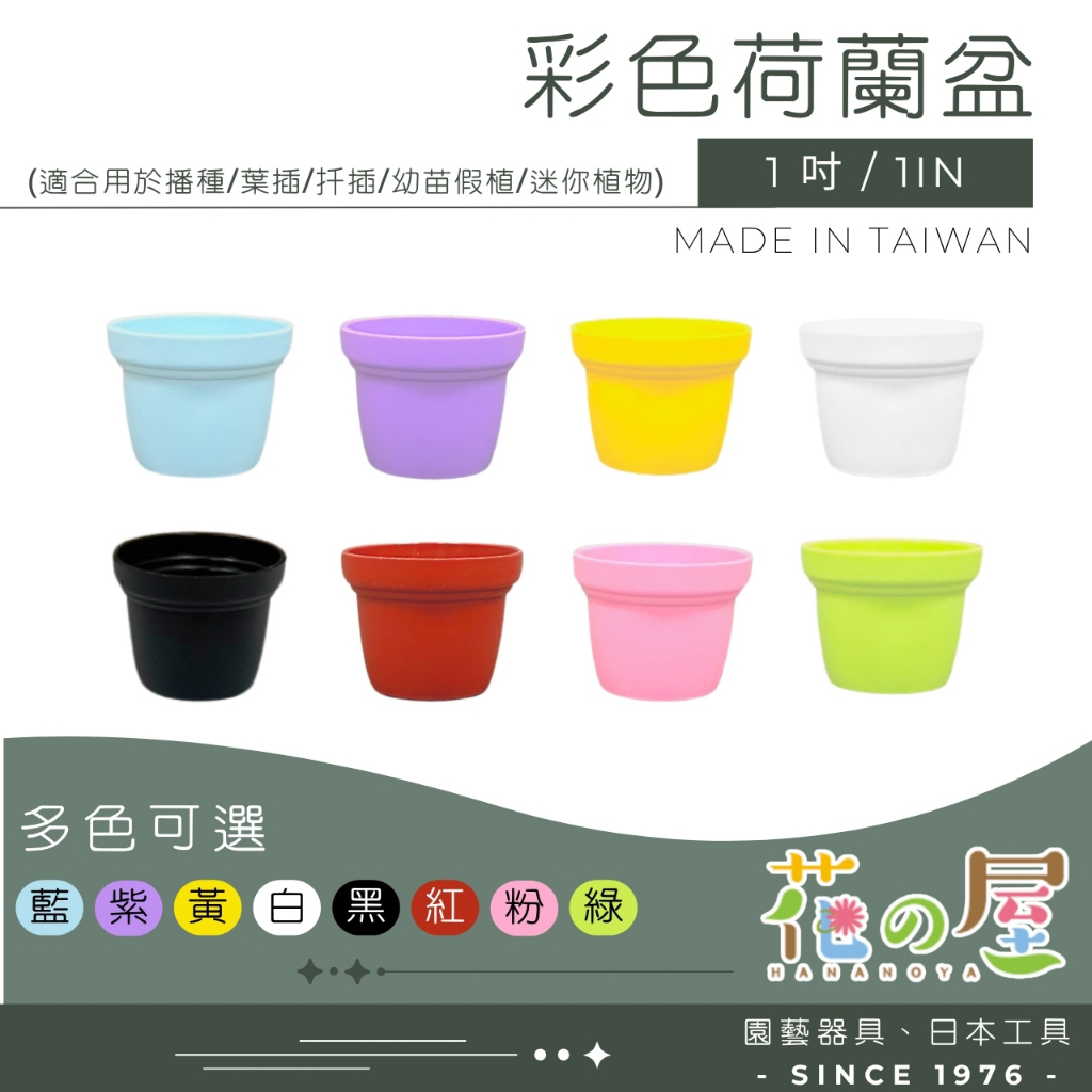 1吋盆- 優惠推薦- 2026年9月| 蝦皮購物台灣