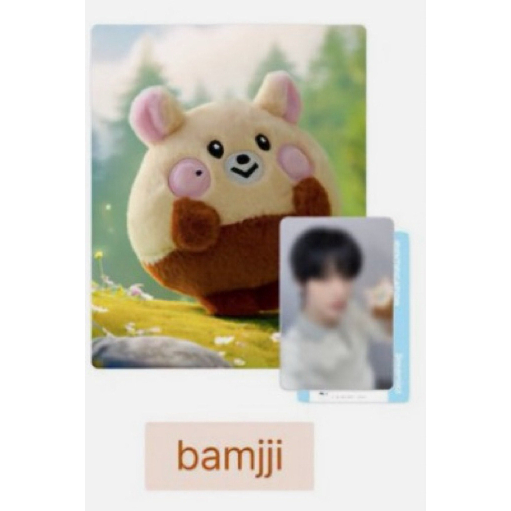 現貨』只剩志晟❗️nct linefriends dreamiez娃娃jjed kkyuping bamjji