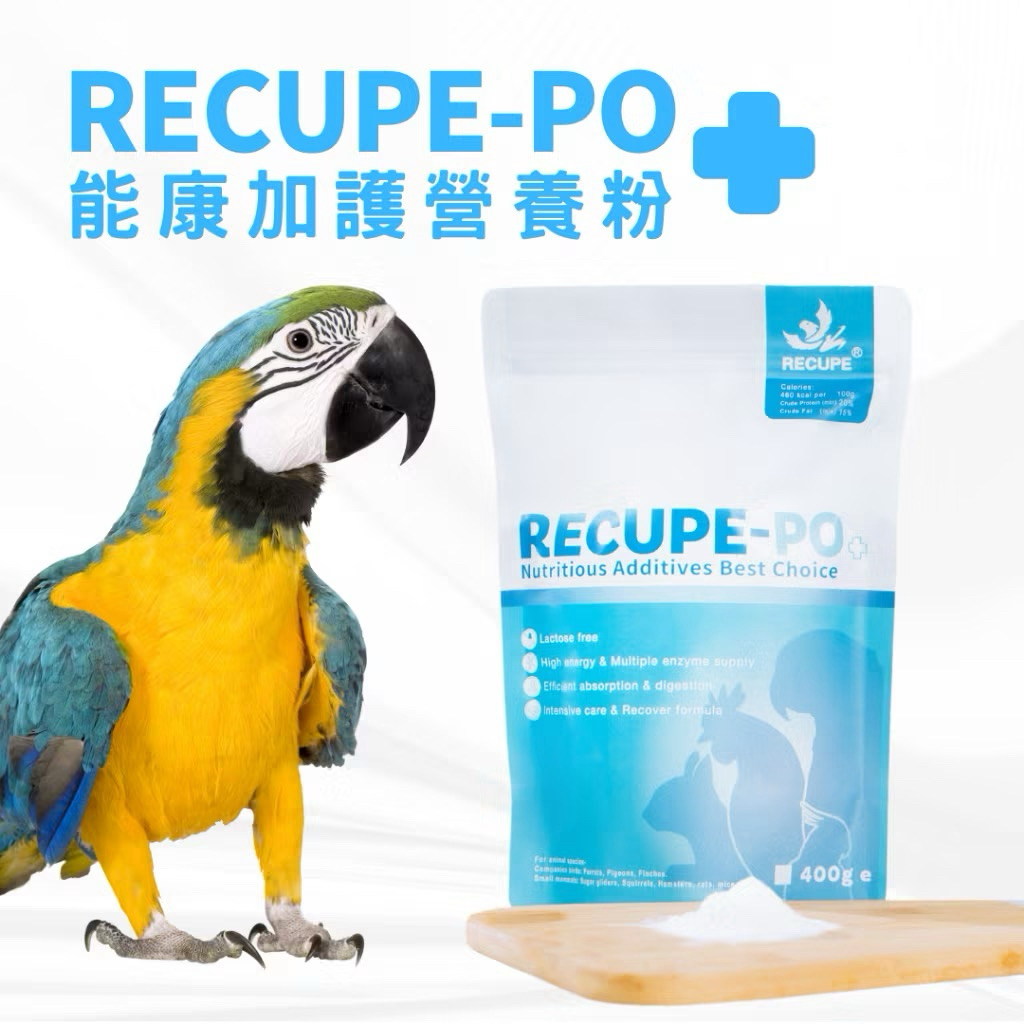 [30年老店]能康-PO (RECUPE-PO)高營養鸚鵡奶粉 易吸收健康發育 維持活力專業配方保健配方/加護粉/艾茉芮 | 蝦皮購物