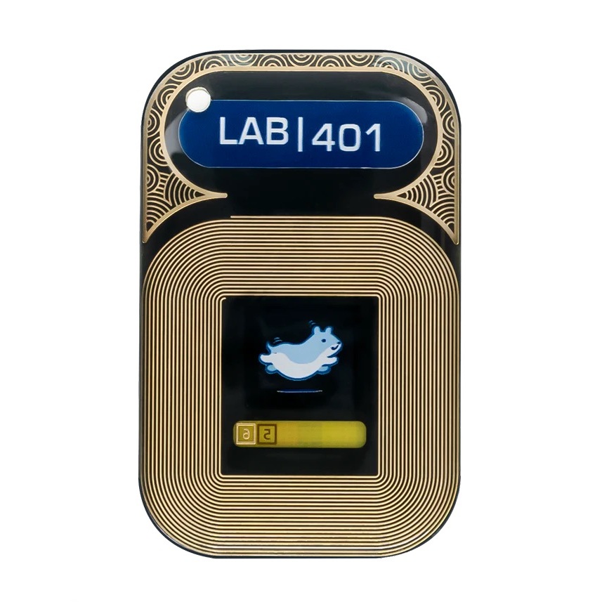 在台現貨 RFID 低頻高頻現場偵測器 Lab401 RFID Field Detector | 蝦皮購物