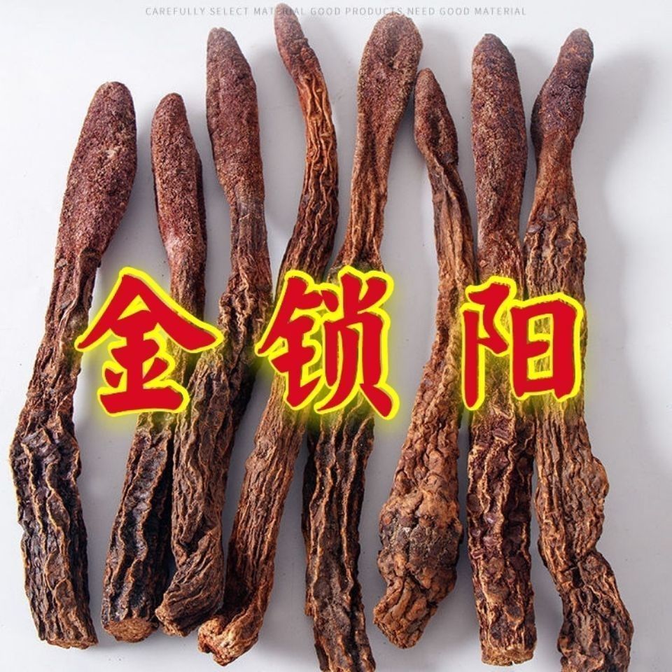 金鎖陽 瑣陽 地毛球 阿拉善特產 整根大根 切片 鹵料煲湯泡水泡茶養生茶 | 蝦皮購物