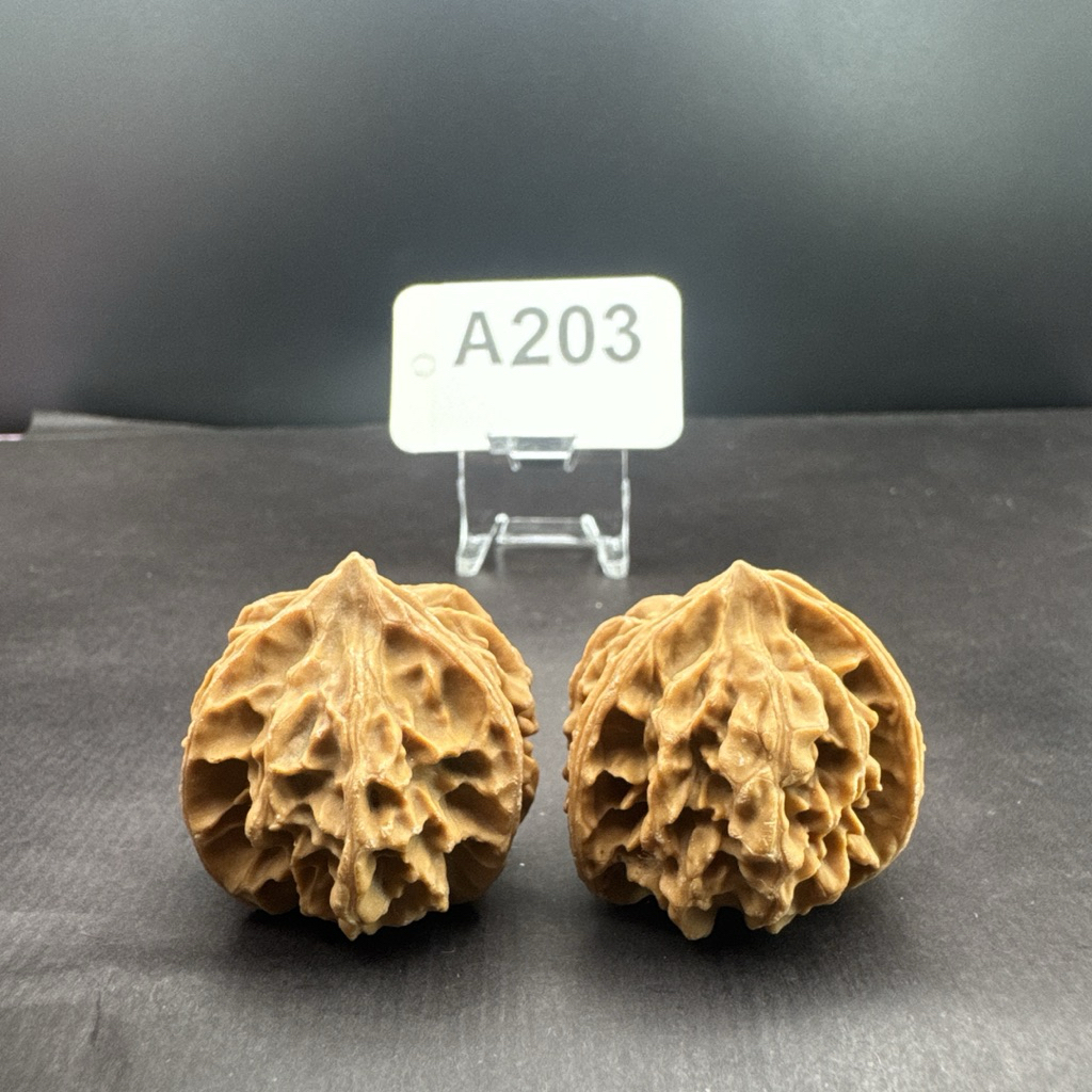 文玩核桃三棱正奔岐山獅子頭33/32/30無修#203 | 蝦皮購物
