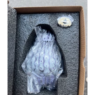 その他 Vin x Robin Huang POH Copiapoa Vin x Robin Huang POH Copiapoa Vin Robin Huang / POH Copiapoa 羅本