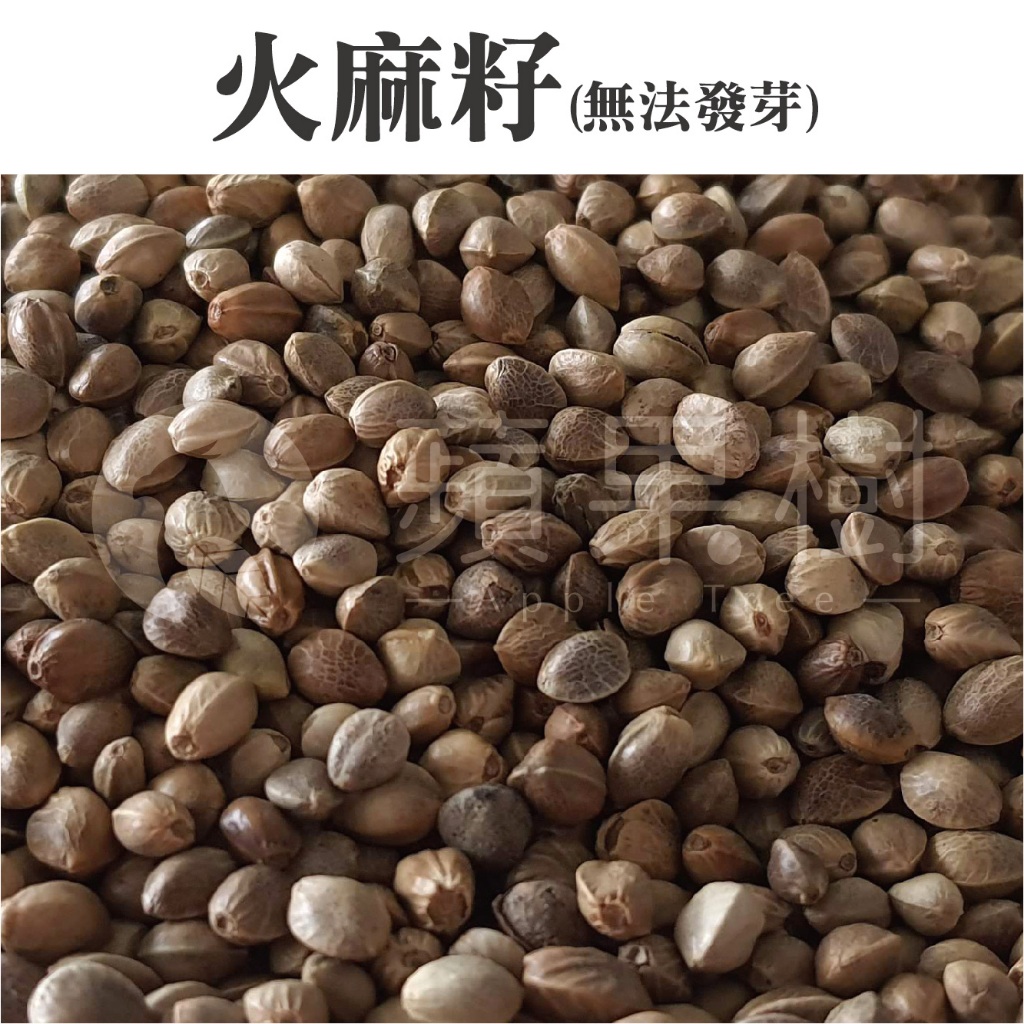 蘋果樹｜麻子仁。無法發芽。真空包裝 | 蝦皮購物