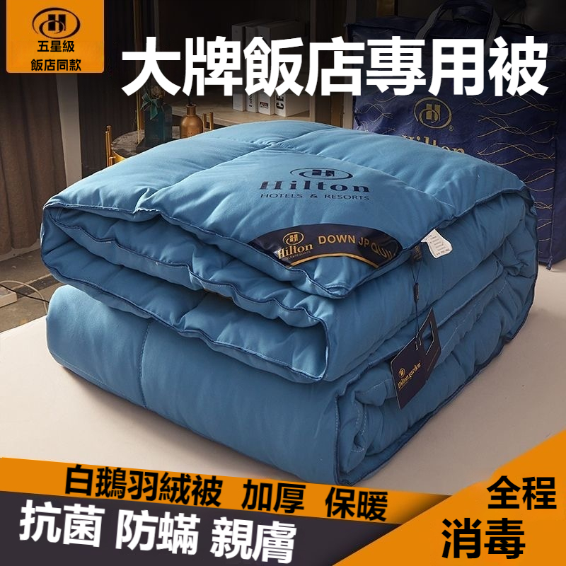 台灣出貨 羽絨被雙人（平價入門款）