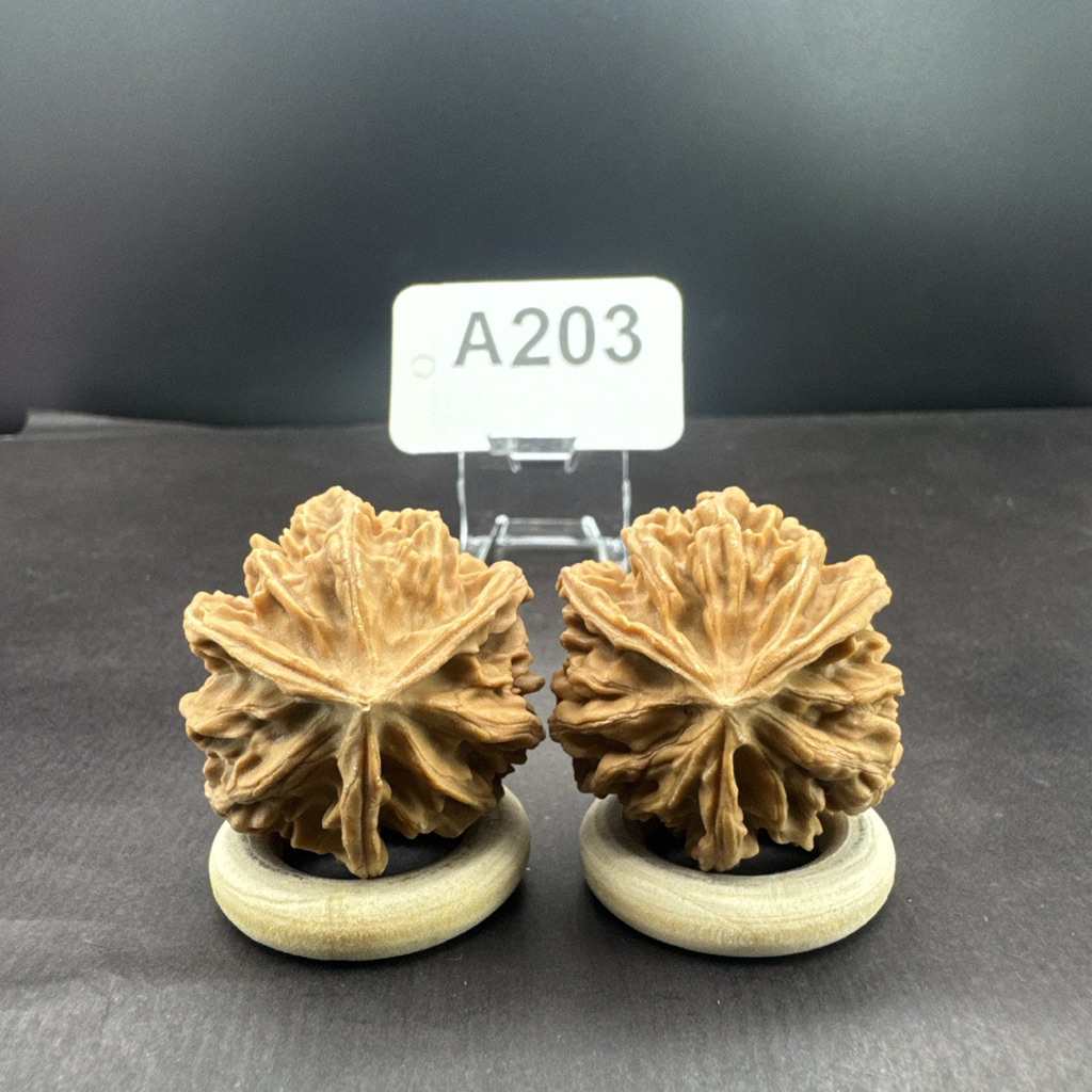 文玩核桃三棱正奔岐山獅子頭33/32/30無修#203 | 蝦皮購物