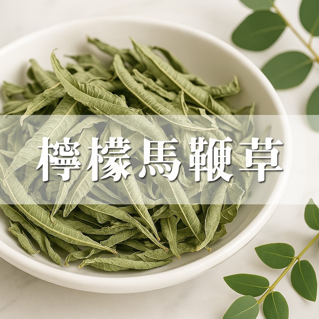 大慶漢方堂 檸檬馬鞭草 馬鞭草 香草 草茶女王 花草茶 | 蝦皮購物