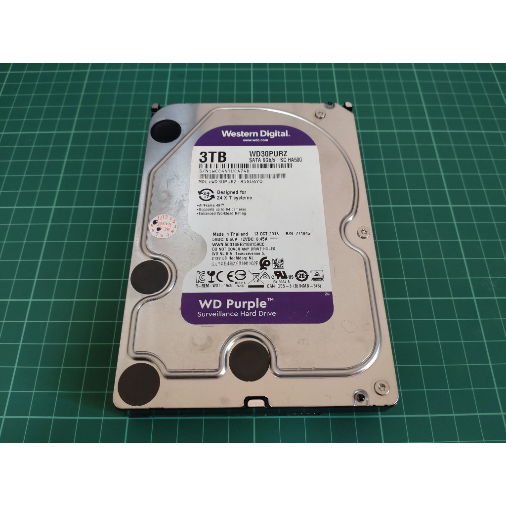 WD 威騰 紫標監控 