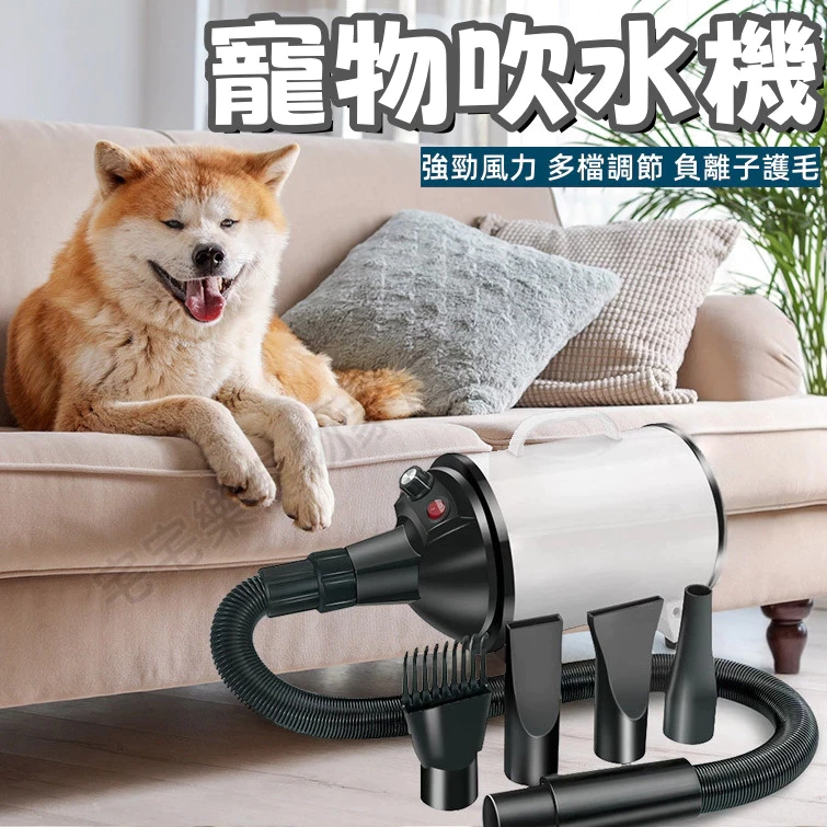110V寵物美容吹水機，附四種風嘴，柴犬洗完澡吹乾底層毛