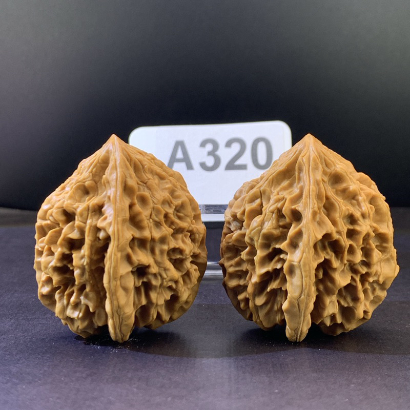 文玩核桃招財鼠/九層妖塔41/41/48已打底幾乎無修#320 | 蝦皮購物