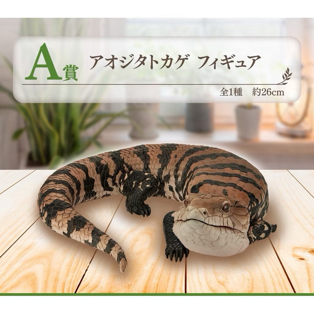 一番賞 爬蟲類＆兩棲類 vol.2 A賞 藍舌蜥 模型 | 蝦皮購物