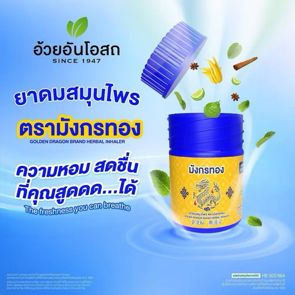 哩哩泰國代購🇹🇭Golden Dragon 金龍牌草本鼻通 藍瓶 อ้วยอันโอสถ LISA愛用泰國鼻通 | 蝦皮購物