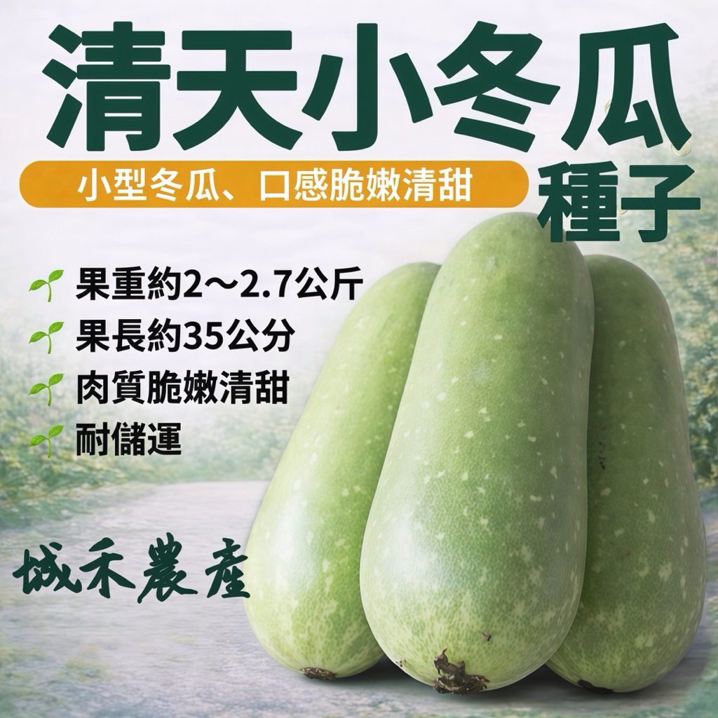 城禾農產🍃 清天小冬瓜種子 3.4克 約183粒 轉作冬瓜種子 小冬瓜種子 短冬瓜種子 轉作種子 冬瓜種子 小冬瓜種子 | 蝦皮購物