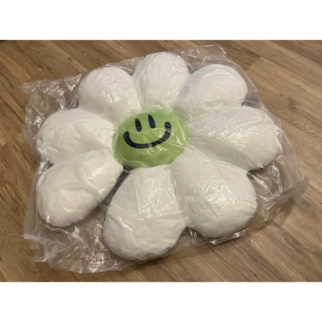 「正版 現貨 」ZOA FRIENDS 抱枕 花抱枕 坐墊 A&NE GD聯名 韓國 快閃店 周邊 | 蝦皮購物