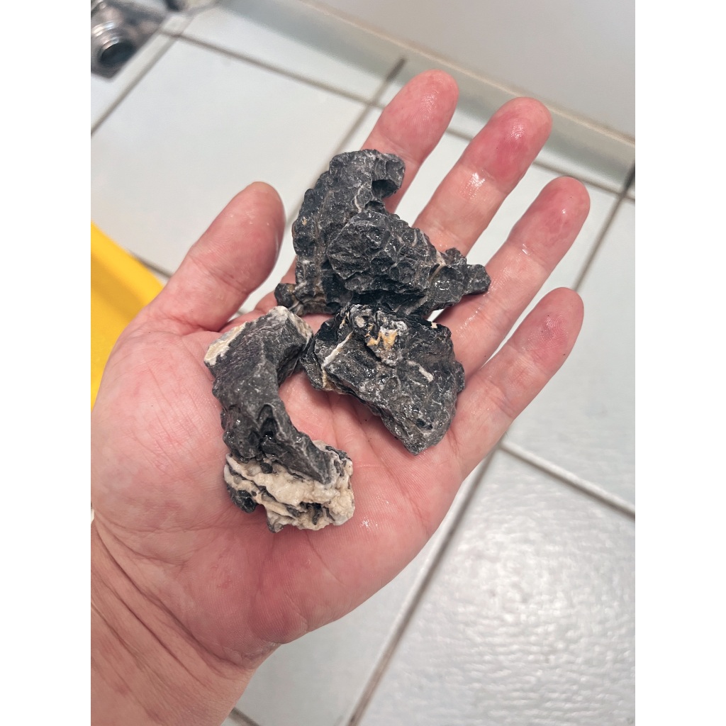 特級酸洗白紋青龍石1kg【新莊/五股/青島水族】店長嚴選青龍石紋理清晰