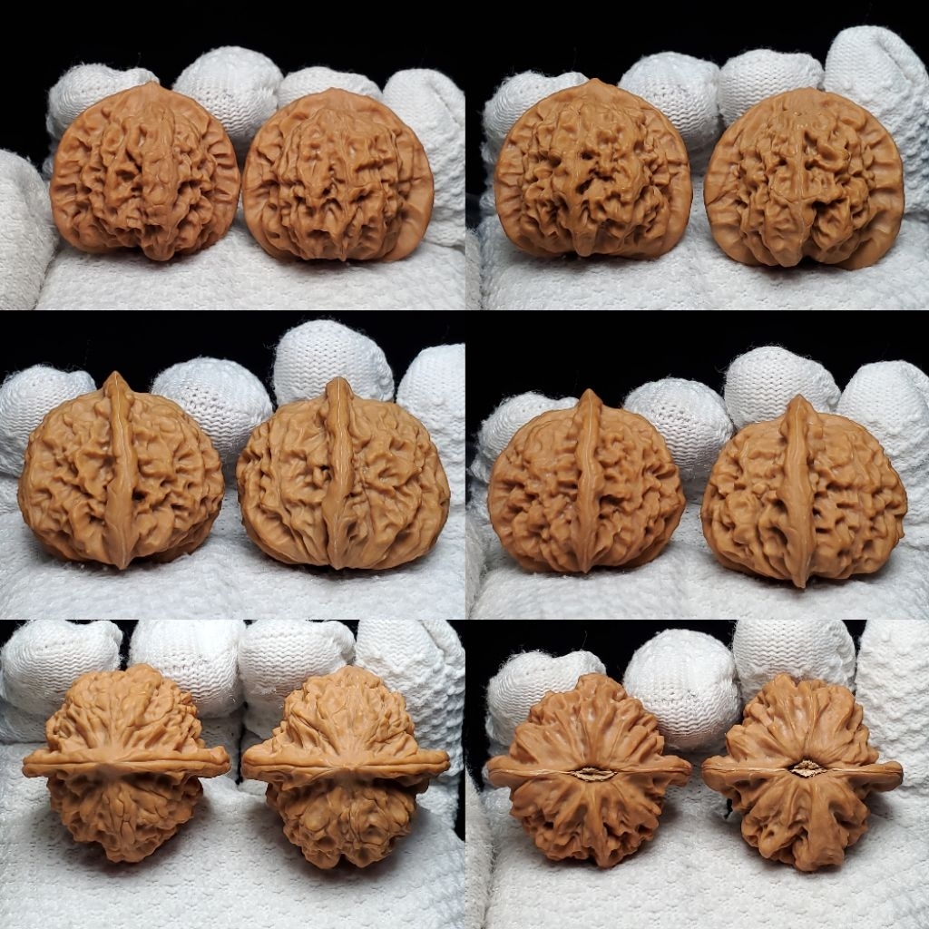 小眾品種文玩核桃練手對】－麻核桃多種品種－文玩核桃/舒壓保健/收藏