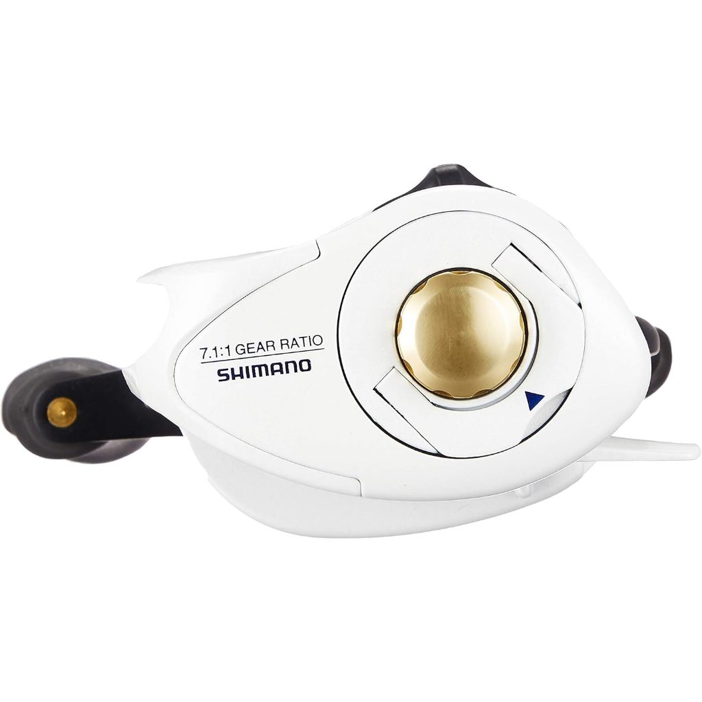 SHIMANO Chinumatic 1000 1000SP XT 黑鯛石鯛雙軸捲線器左右手| 蝦皮購物