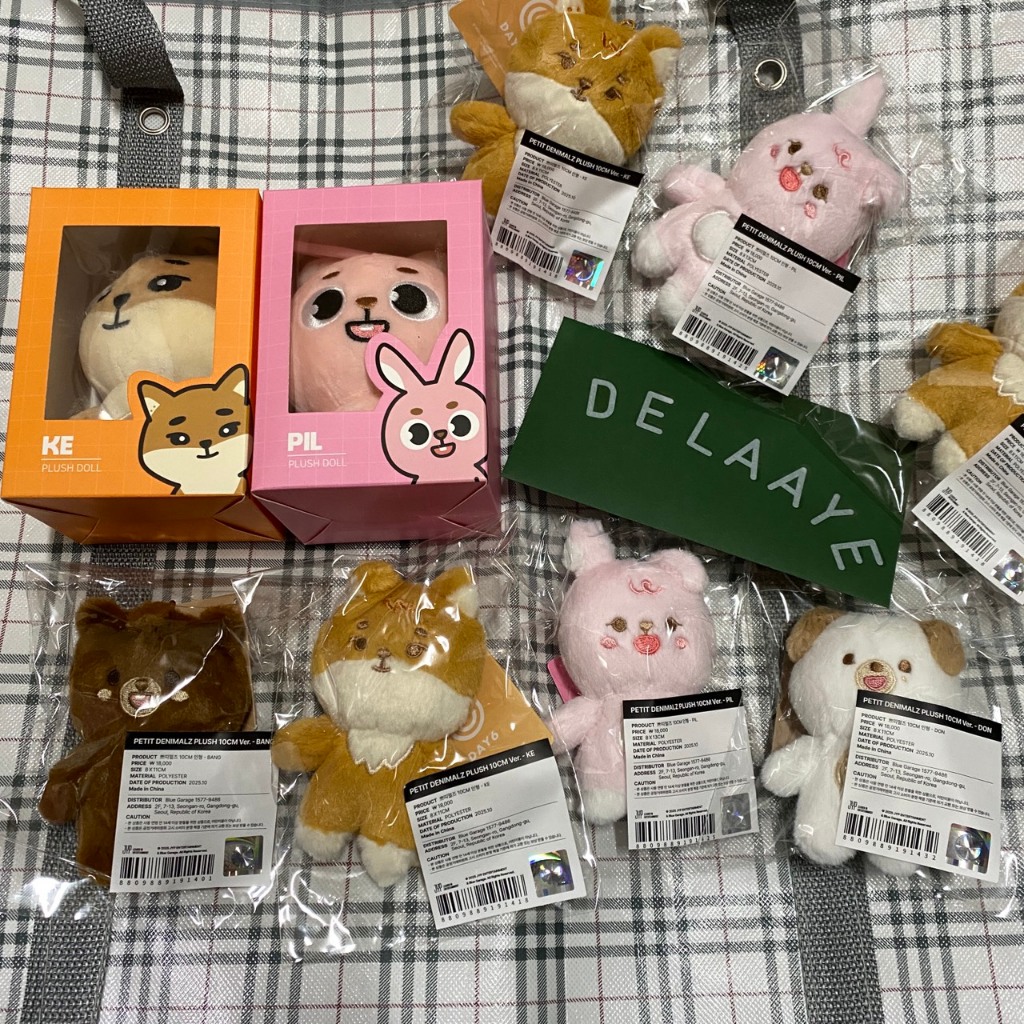 DAY6 玩偶PETIT DENIMALZ PLUSH 2024 Ver.10CM Ver. 10公分娃| 蝦皮購物