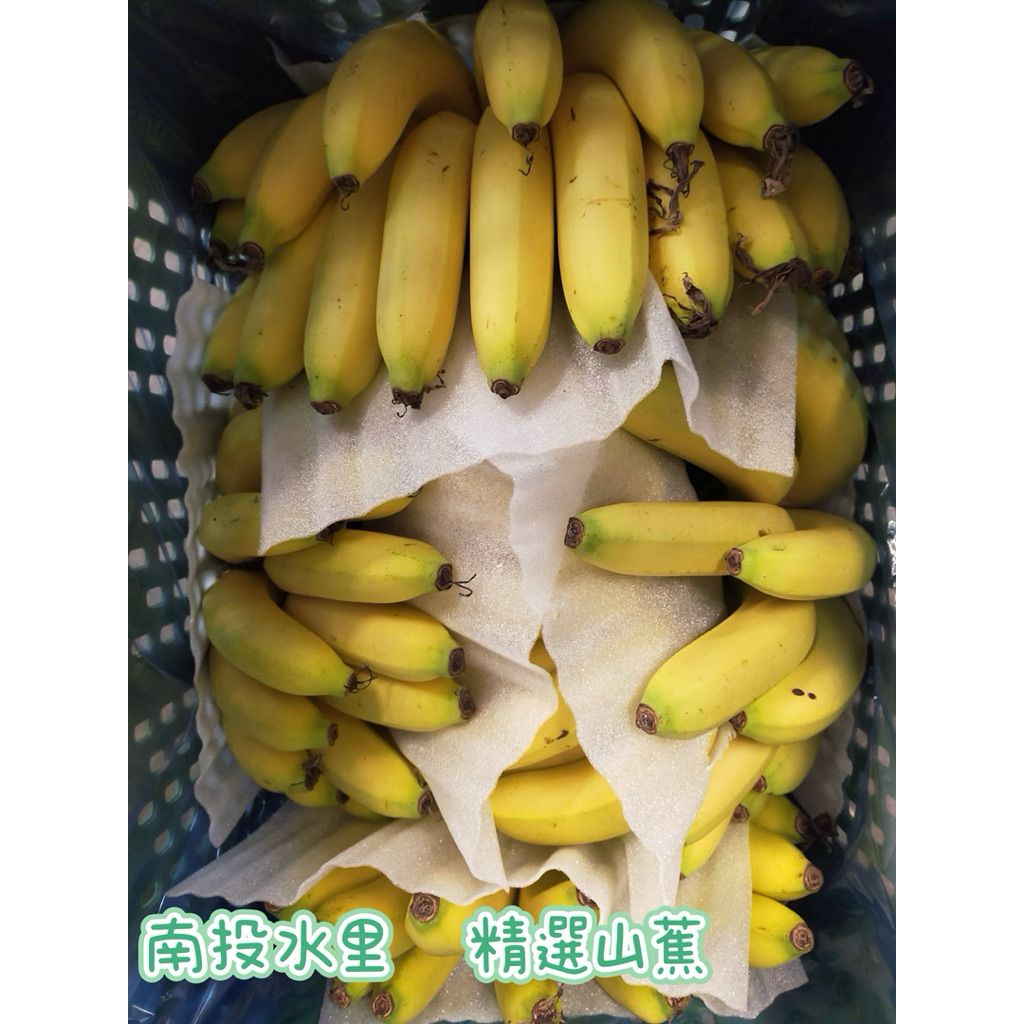 南投山蕉} 台灣南投水里精選山蕉芭蕉1.8公斤裝分裝寄出冷藏配送下單