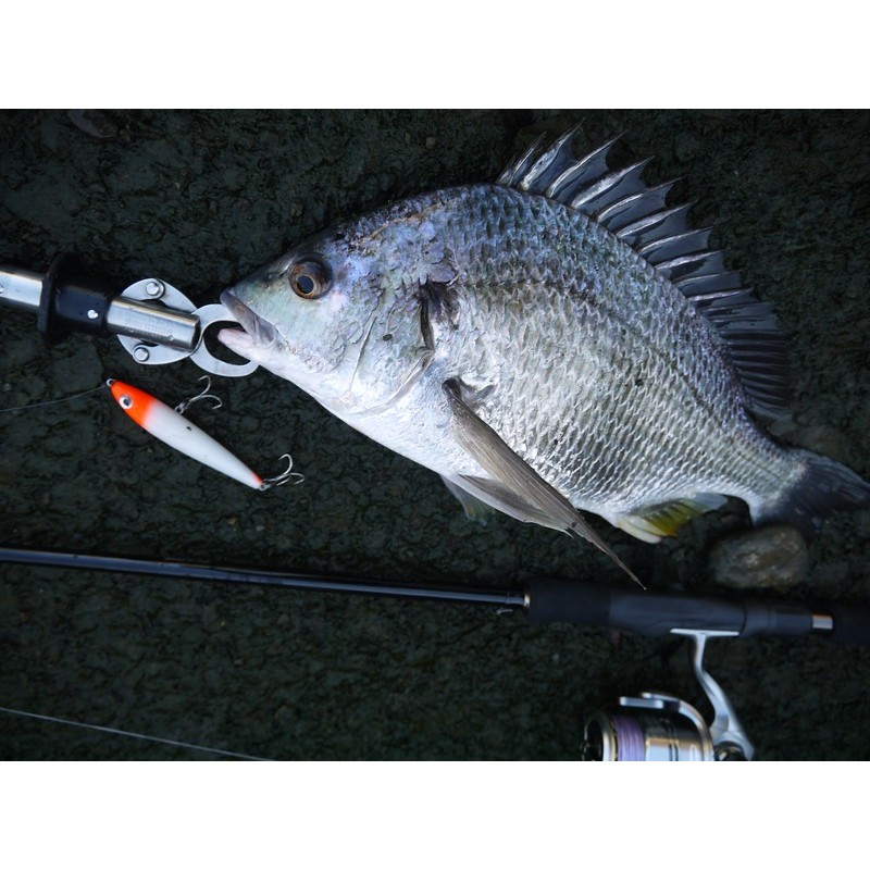 ZENAQ IS89-M5 MASTER HAND 新品未使用 ZENAQ INQLUDE IS89-M5 MASTER HAND - Japan Dream Tackle