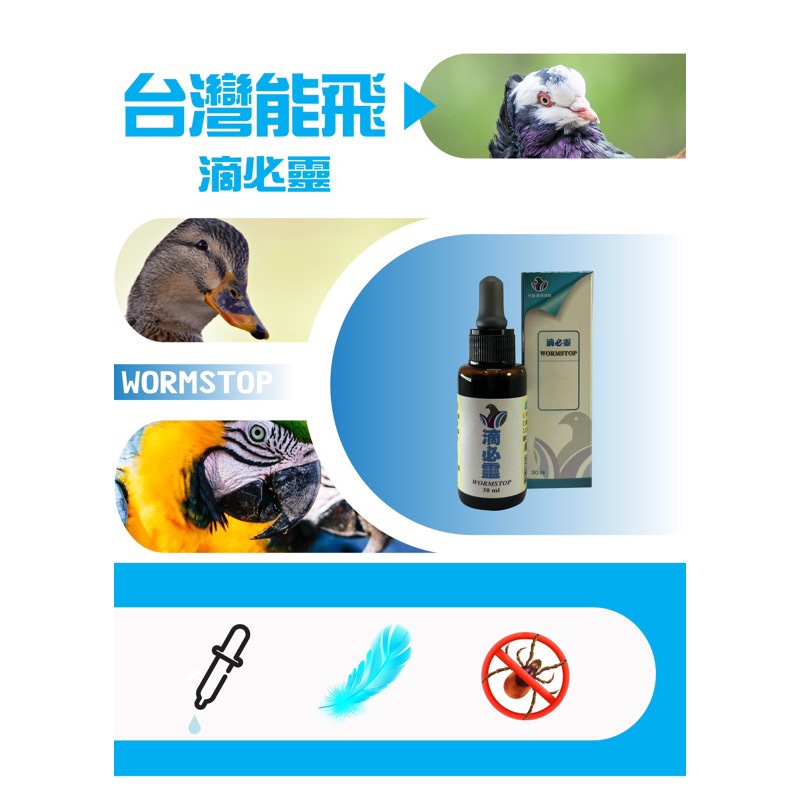 TAIWAN「WORMSTOP」30ML | 蝦皮購物