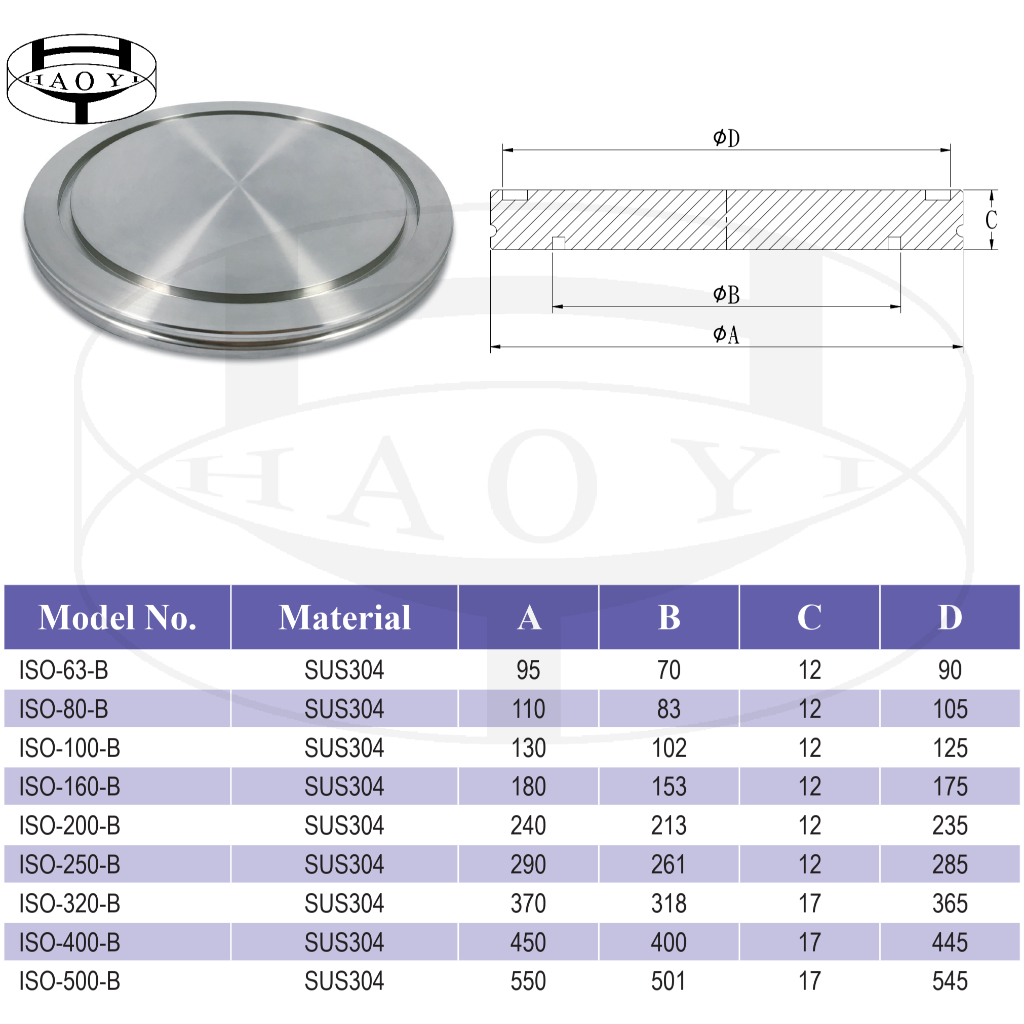 ISO 63/80/100/160 Blank Flange 台灣製造 Made In Taiwan SUS304L | 蝦皮購物